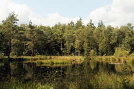 Omgeving